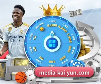 media-kai-yun.com APP 深度功能
